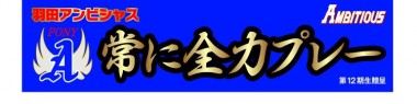 野球横断幕　ポニーリーグ卒団式用幕　のイメージ