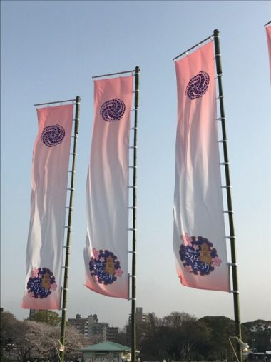 福岡城さくら祭り 巨大のぼりのイメージ