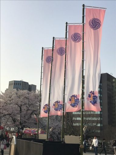 福岡城さくら祭り　巨大のぼりのイメージ